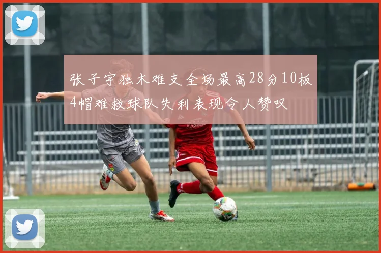张子宇独木难支全场最高28分10板4帽难救球队失利表现令人赞叹